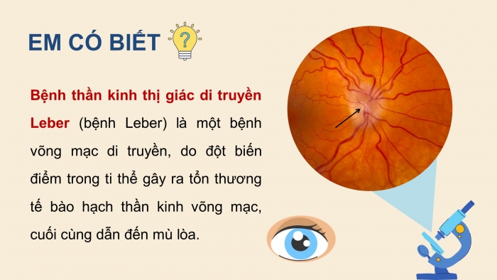 Giáo án điện tử Sinh học 12 chân trời Bài 9: Di truyền gene ngoài nhân