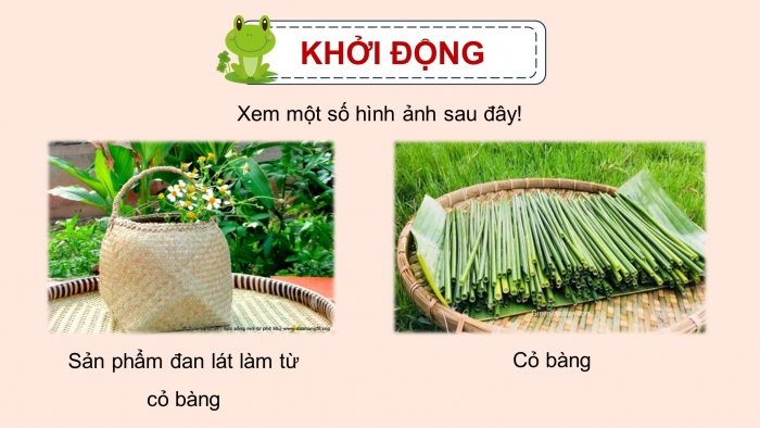 Giáo án điện tử Tiếng Việt 5 chân trời Bài 8: Từ những cánh đồng xanh