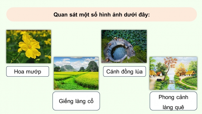 Giáo án điện tử Tiếng Việt 5 chân trời Bài Ôn tập cuối học kì I (Tiết 1)