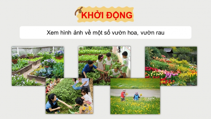 Giáo án điện tử Tiếng Việt 5 chân trời Bài Ôn tập cuối học kì I (Tiết 2)