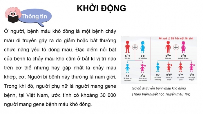 Giáo án điện tử Sinh học 12 kết nối Bài 10: Di truyền giới tính và di truyền liên kết với giới tính