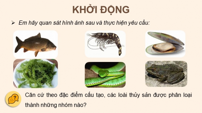 Giáo án điện tử Công nghệ 12 Lâm nghiệp - Thủy sản Kết nối Bài 9: Các nhóm thuỷ sản và một số phương thức nuôi phố biến