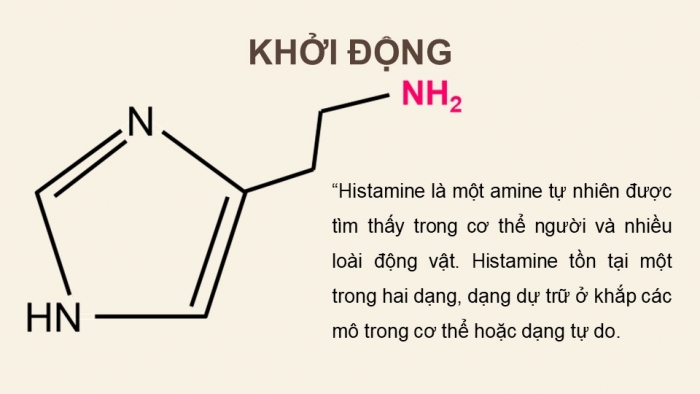 Giáo án điện tử Hoá học 12 chân trời Bài 6: Amine