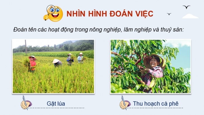 Giáo án điện tử Địa lí 12 chân trời Bài 12: Vấn đề phát triển nông nghiệp