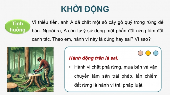 Giáo án điện tử Công nghệ 12 Lâm nghiệp Thủy sản Cánh diều Bài Ôn tập chủ đề 3