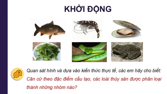 Giáo án điện tử Công nghệ 12 Lâm nghiệp Thủy sản Cánh diều Bài 10: Các nhóm thuỷ sản và phương thức nuôi phổ biến