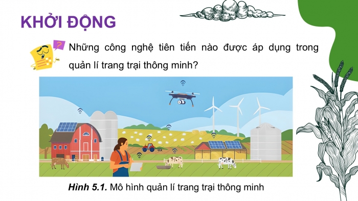 Giáo án điện tử Công nghệ 9 Nông nghiệp 4.0 Chân trời Chủ đề 5: Xu thế phát triển của nền nông nghiệp công nghệ cao