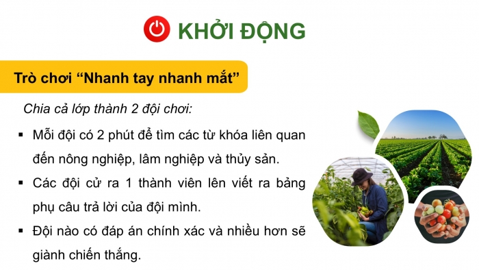 Giáo án điện tử Địa lí 12 chân trời Bài 15: Thực hành Tìm hiểu vai trò, tình hình phát triển và chuyển dịch cơ cấu ngành nông nghiệp, lâm nghiệp, thuỷ sản