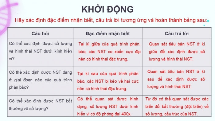 Giáo án điện tử Sinh học 12 kết nối Bài 14: Thực hành Quan sát một số dạng đột biến nhiễm sắc thể