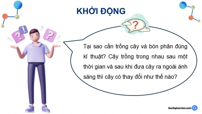 Giáo án điện tử Sinh học 12 kết nối Bài 17: Thực hành Thí nghiệm về thường biến ở cây trồng