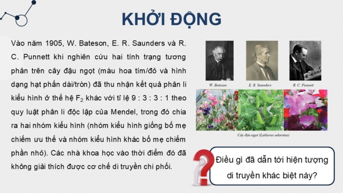 Giáo án điện tử Sinh học 12 kết nối Bài 11: Liên kết gene và hoán vị gene