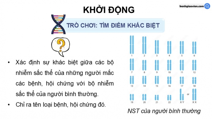 Giáo án điện tử Sinh học 12 kết nối Bài 12: Đột biến nhiễm sắc thể