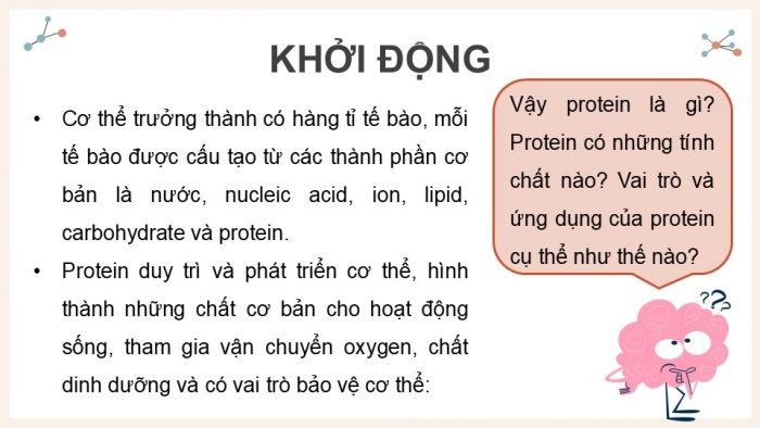 Giáo án điện tử Hoá học 12 chân trời Bài 8: Protein và enzyme