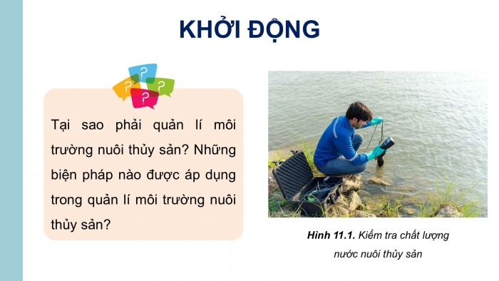 Giáo án điện tử Công nghệ 12 Lâm nghiệp - Thủy sản Kết nối Bài 11: Quản lí môi trường nuôi thuỷ sản