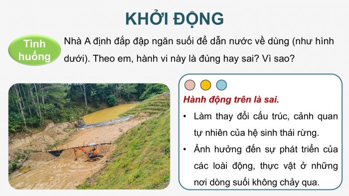 Giáo án điện tử Công nghệ 12 Lâm nghiệp - Thủy sản Kết nối Bài ôn tập chương III