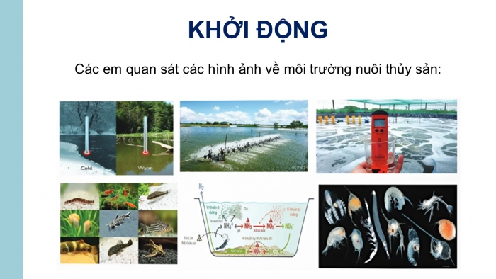 Giáo án điện tử Công nghệ 12 Lâm nghiệp Thủy sản Cánh diều Bài 11: Một số chỉ tiêu cơ bản của môi trường nuôi thuỷ sản