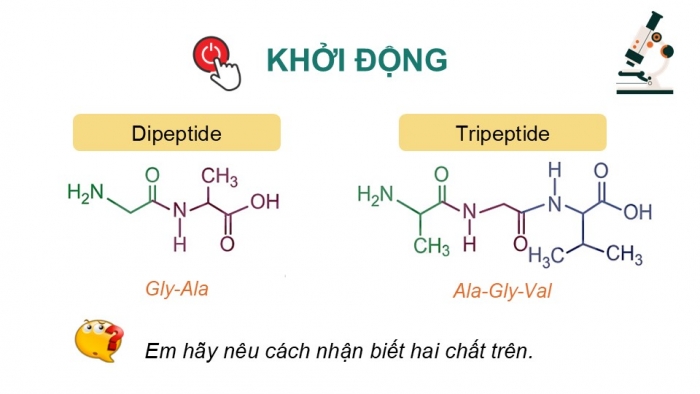 Giáo án điện tử Hoá học 12 kết nối Bài 11: Ôn tập chương 3