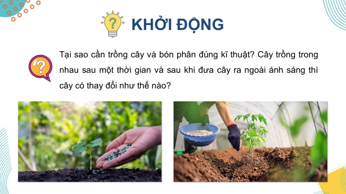 Giáo án điện tử Sinh học 12 chân trời Bài 11: Thực hành Thí nghiệm về thường biến ở cây trồng