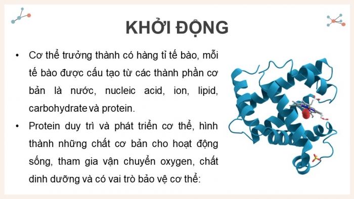 Giáo án điện tử Hóa học 12 cánh diều Bài 7: Peptide, protein và enzyme