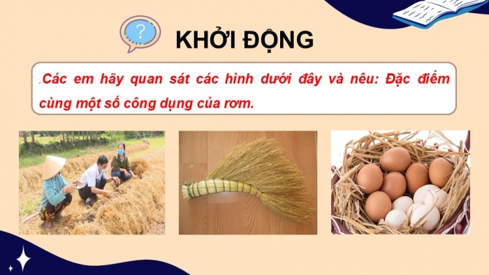 Giáo án điện tử Tiếng Việt 5 cánh diều Bài 6: Hoàng tử học nghề