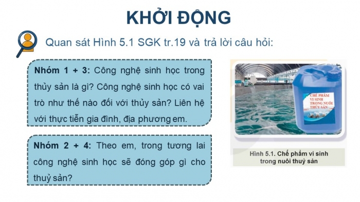 Giáo án điện tử chuyên đề Công nghệ 12 Lâm nghiệp Thuỷ sản Kết nối Bài 5: Vai trò và triển vọng của công nghệ sinh học trong thuỷ sản