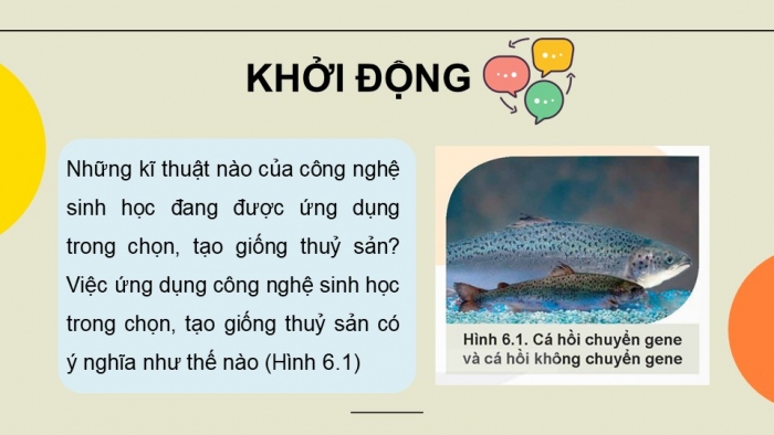 Giáo án điện tử chuyên đề Công nghệ 12 Lâm nghiệp Thuỷ sản Kết nối Bài 6: Một số ứng dụng công nghệ sinh học trong chọn, tạo giống thuỷ sản