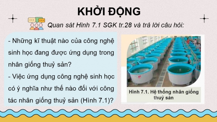 Giáo án điện tử chuyên đề Công nghệ 12 Lâm nghiệp Thuỷ sản Kết nối Bài 7: Ứng dụng công nghệ sinh học trong sản xuất giống thuỷ sản