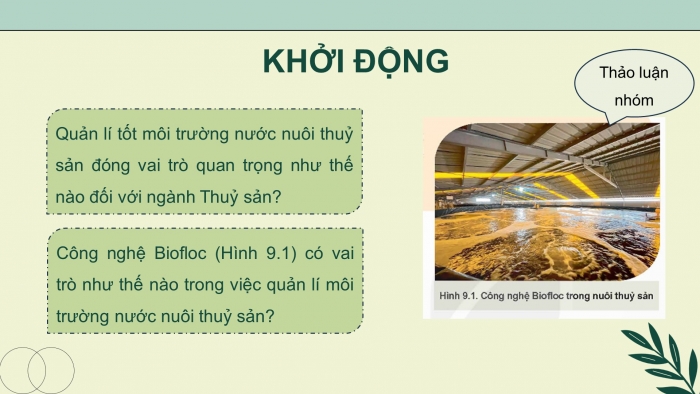 Giáo án điện tử chuyên đề Công nghệ 12 Lâm nghiệp Thuỷ sản Kết nối Bài 9: Ứng dụng công nghệ sinh học trong quản lí môi trường nước nuôi thuỷ sản