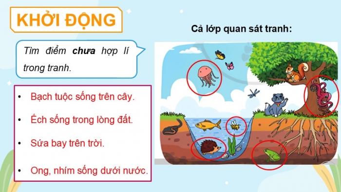 Giáo án điện tử Đạo đức 5 cánh diều Bài 6: Môi trường sống quanh em