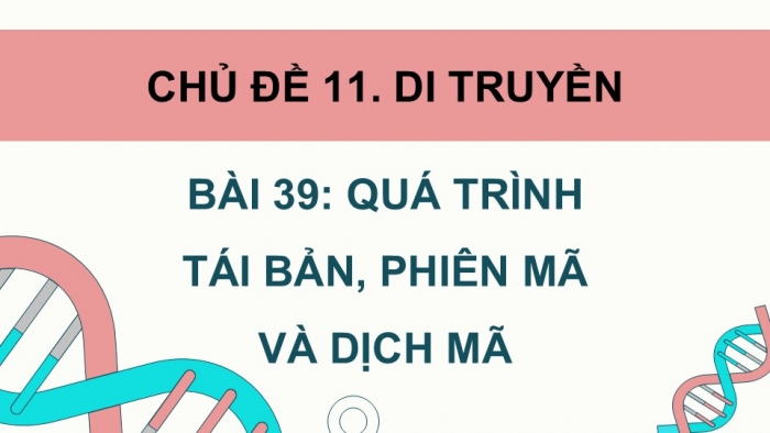 Giáo án điện tử KHTN 9 chân trời - Phân môn Sinh học Bài 39: Quá trình tái bản, phiên mã và dịch mã