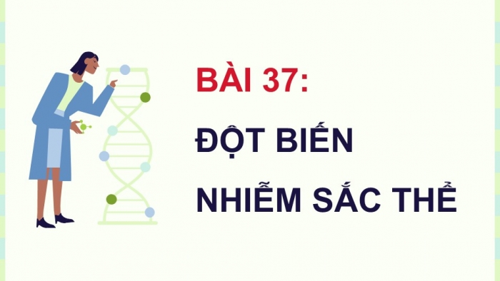 Giáo án điện tử KHTN 9 cánh diều - Phân môn Sinh học Bài 37: Đột biến nhiễm sắc thể