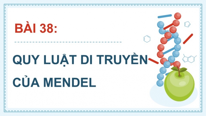 Giáo án điện tử KHTN 9 cánh diều - Phân môn Sinh học Bài 38: Quy luật di truyền của Mendel