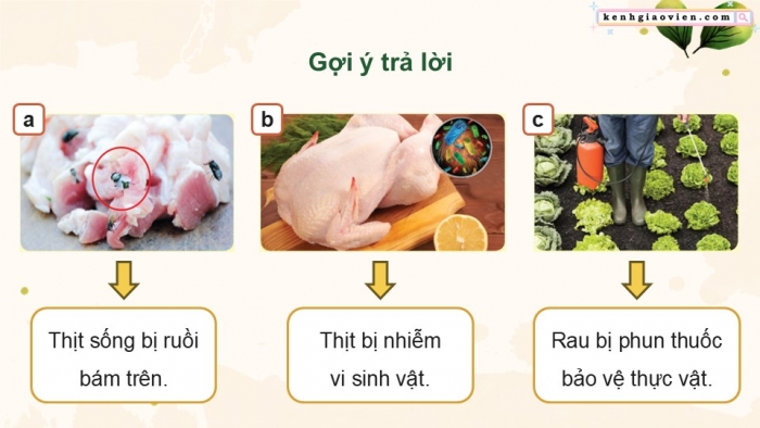 Giáo án điện tử Công nghệ 9 Chế biến thực phẩm Cánh diều Bài 6: An toàn vệ sinh thực phẩm