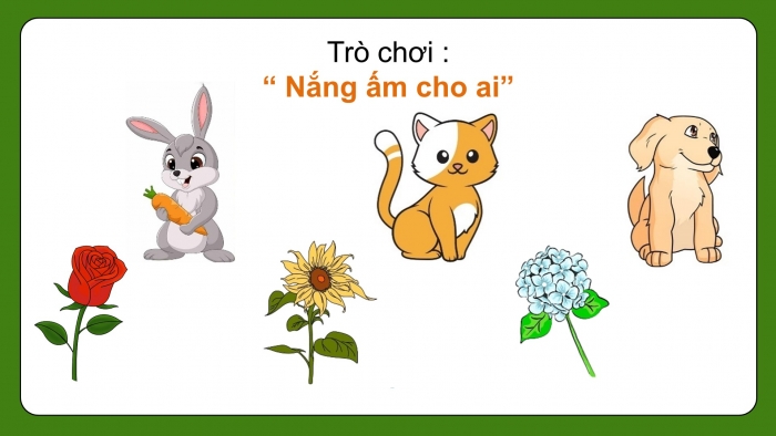 Giáo án điện tử Khoa học 5 kết nối Bài 11: Sử dụng năng lượng mặt trời, năng lượng gió, năng lượng nước chảy