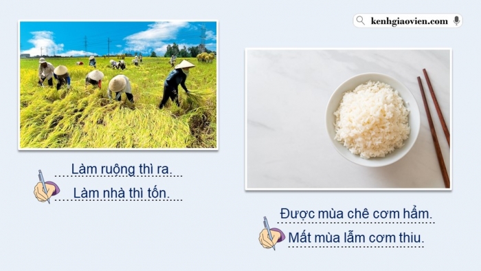 Giáo án điện tử Địa lí 12 cánh diều Bài 10: Vấn đề phát triển nông nghiệp, lâm nghiệp và thủy sản