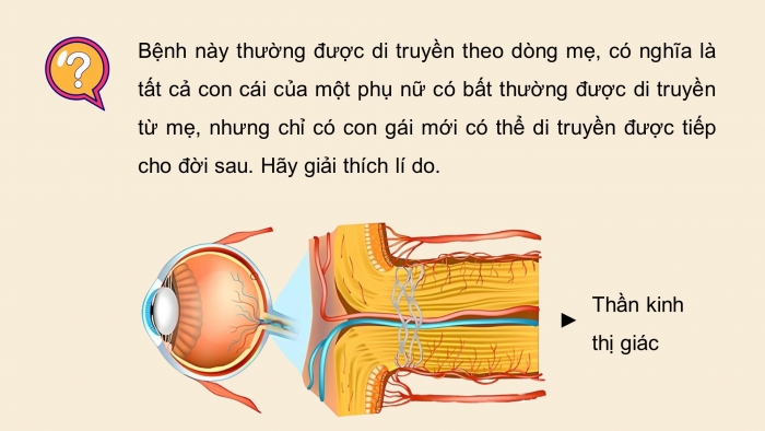 Giáo án điện tử Sinh học 12 chân trời Bài 9: Di truyền gene ngoài nhân