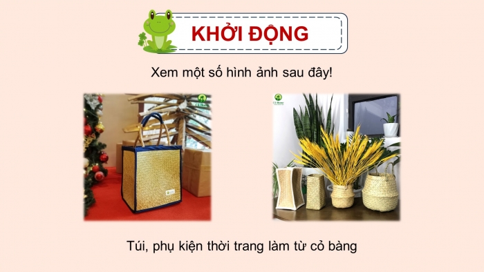 Giáo án điện tử Tiếng Việt 5 chân trời Bài 8: Từ những cánh đồng xanh