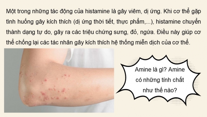 Giáo án điện tử Hoá học 12 chân trời Bài 6: Amine