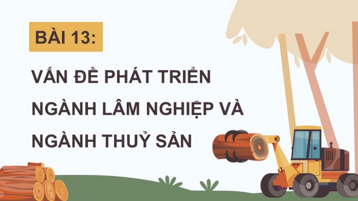 Giáo án điện tử Địa lí 12 chân trời Bài 13: Vấn đề phát triển lâm nghiệp và thuỷ sản