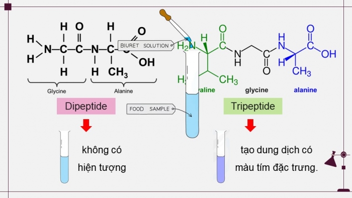 Giáo án điện tử Hoá học 12 chân trời Bài Ôn tập Chương 3