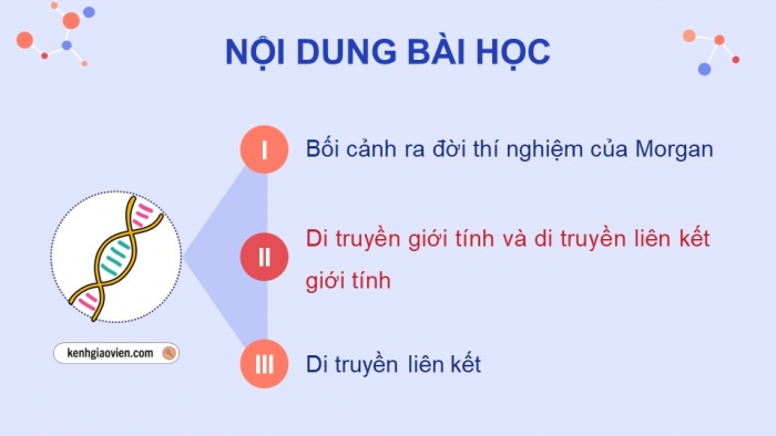 Giáo án điện tử Sinh học 12 cánh diều Bài 8: Di truyền liên kết giới tính, liên kết gene và hoán vị gene (P2)