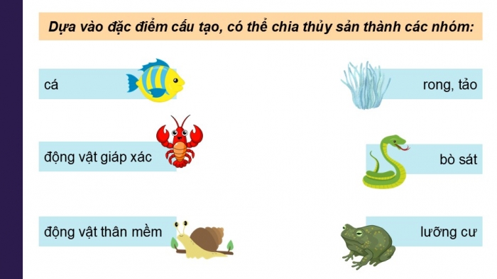 Giáo án điện tử Công nghệ 12 Lâm nghiệp Thủy sản Cánh diều Bài 10: Các nhóm thuỷ sản và phương thức nuôi phổ biến