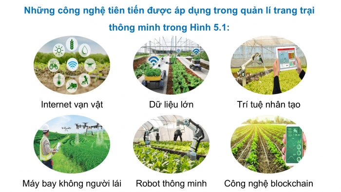 Giáo án điện tử Công nghệ 9 Nông nghiệp 4.0 Chân trời Chủ đề 5: Xu thế phát triển của nền nông nghiệp công nghệ cao