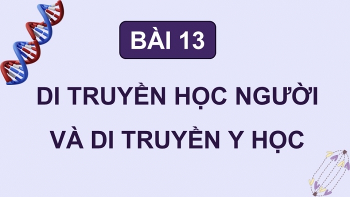 Giáo án điện tử Sinh học 12 kết nối Bài 13: Di truyền học người và di truyền y học