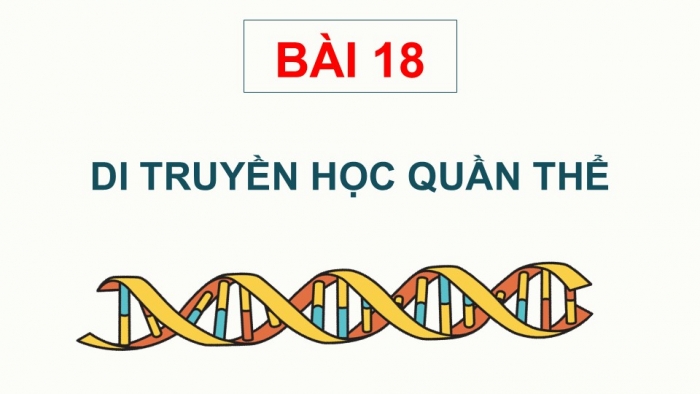 Giáo án điện tử Sinh học 12 kết nối Bài 18: Di truyền quần thể