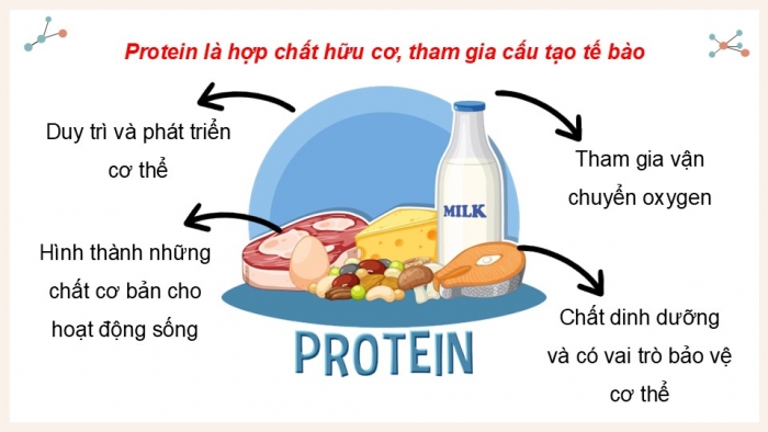 Giáo án điện tử Hoá học 12 chân trời Bài 8: Protein và enzyme