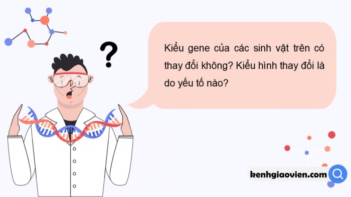 Giáo án điện tử Sinh học 12 kết nối Bài 16: Tương tác giữa kiểu gene với môi trường và thành tựu chọn giống