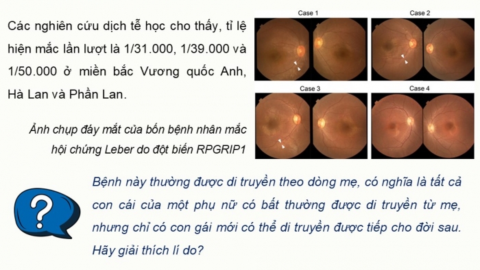 Giáo án điện tử Sinh học 12 cánh diều Bài 9: Di truyền gene ngoài nhân