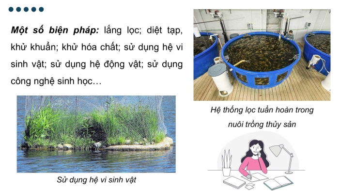 Giáo án điện tử Công nghệ 12 Lâm nghiệp - Thủy sản Kết nối Bài 12: Biện pháp xử lí môi trường nuôi thuỷ sản