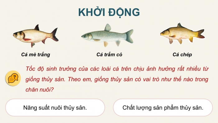 Giáo án điện tử Công nghệ 12 Lâm nghiệp - Thủy sản Kết nối Bài 13: Vai trò của giống thủy sản